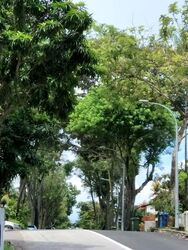 Hillside Drive (D19), Semi-Detached #545975861